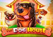 Характеристики слота The Dog House